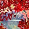 平平淡淡的头像