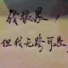 遗@情的头像