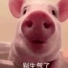 ku的头像