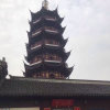 阳光（暂停）的头像
