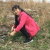秒玉的头像