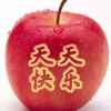 心随我愿的头像