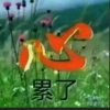  傲雪寒梅的头像