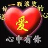 寻梦的头像