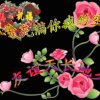 女王拥有钻石心！的头像