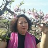 樱桃的头像