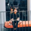 薛之谦都搜不到我的ID的头像