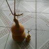陈老大的头像