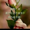 百灵鸟的头像