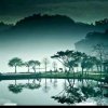 高山的头像