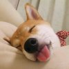 小涵丶的头像