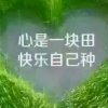 凯悦的头像
