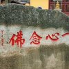 绝不将就。的头像