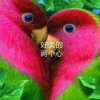 花花世界的头像