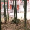 无声情话的头像