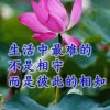 非凡漂流瓶的头像