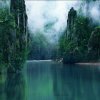 岁月如歌的头像