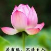 专业屋面发泡的头像