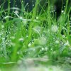 雨落倾城的头像
