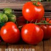 蓝天的头像