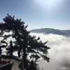 伴奏每天的头像