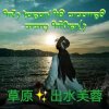草原出水芙蓉的头像