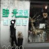 薇信公众号 wxqmkg的头像