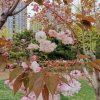 笑里轻轻语《拒聊》的头像