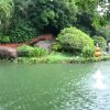 童年回忆（暂离）海南屯昌县的头像
