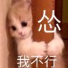 晕晕@魅声-MS@乐言的头像