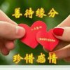 秀秀心飞翔；退出的头像