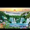 林的头像