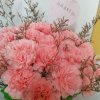 菊花茶的头像