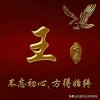 九哥的头像