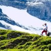 F歌的头像