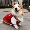Christian的头像