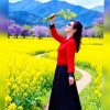 开心果果的头像