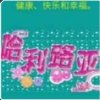 黎明前的头像