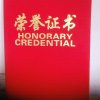 快乐阳光的头像