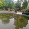 清晨的头像