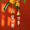 飞英的头像