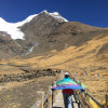 梅的头像