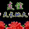 勿望我的头像