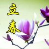花卉的头像