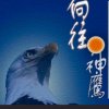 神鹰的头像