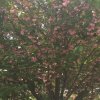 无悔的头像