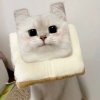 暖九的头像