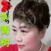 常青树的头像