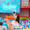 妄的头像