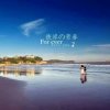 海岸线的头像